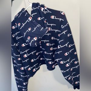 Champion cropped hoodie